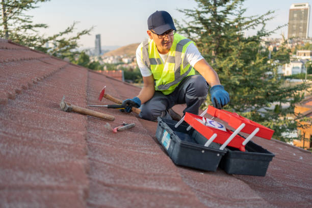 Best Fiber Cement Siding Installation  in Mabscott, WV